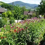 Mayer - 4 * Lautenbach